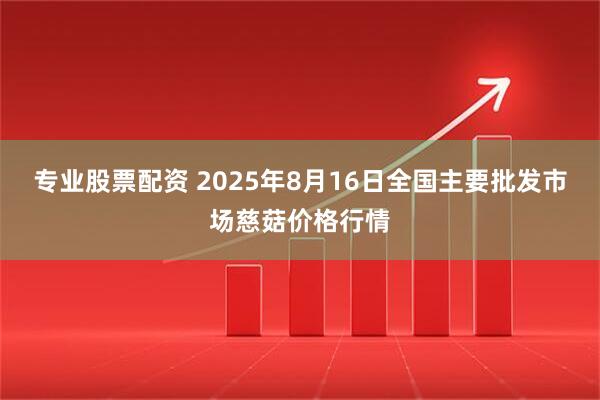 专业股票配资 2025年8月16日全国主要批发市场慈菇价格行情